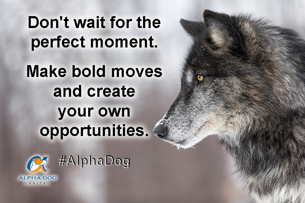 Alpha Dog Move: Bold Moves