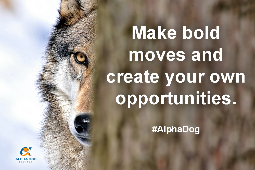 Alpha Dog Bold Moves
