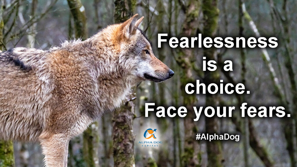 Alpha Dog Move Fearlessness