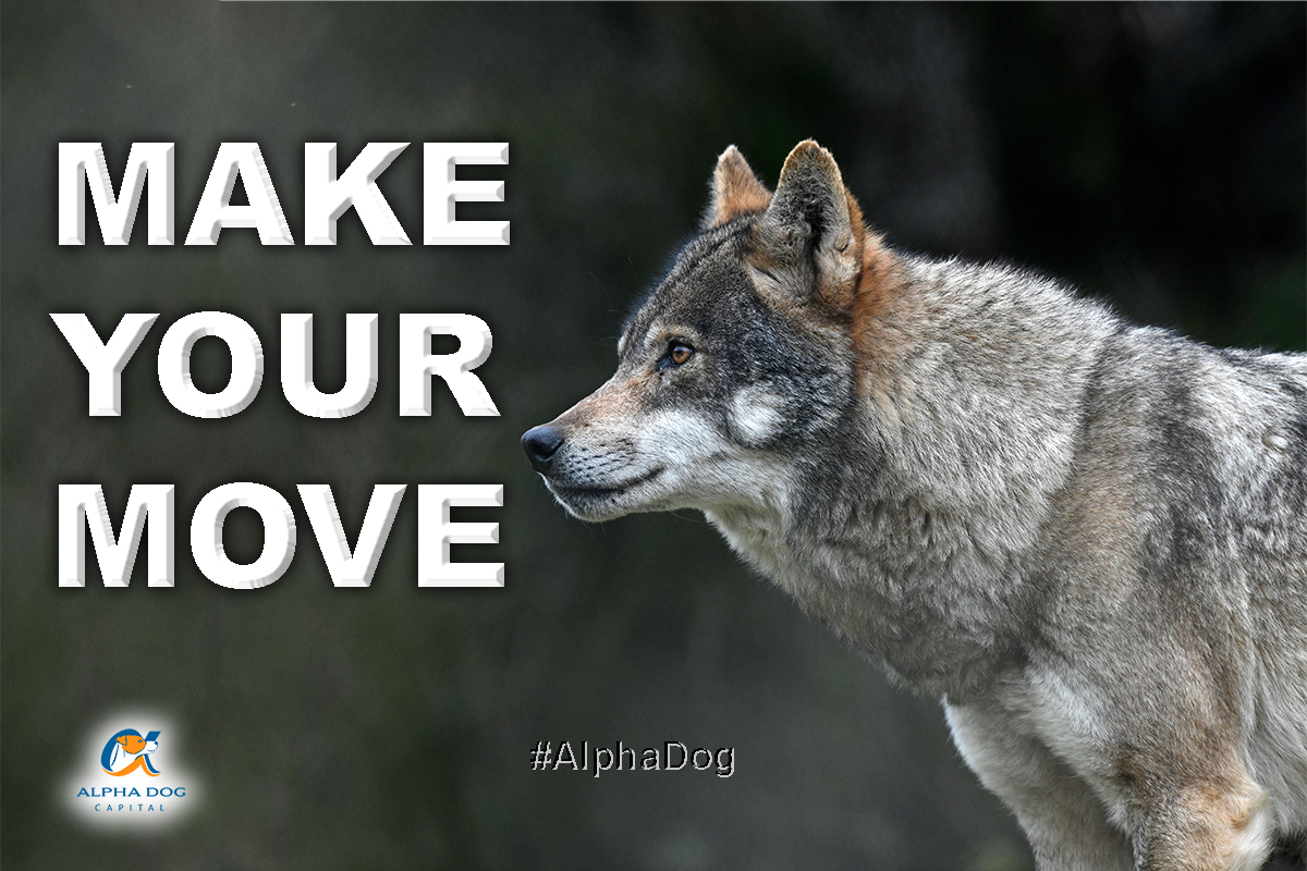 Alpha Dog quote: "MAKE YOUR MOVE #alphadog