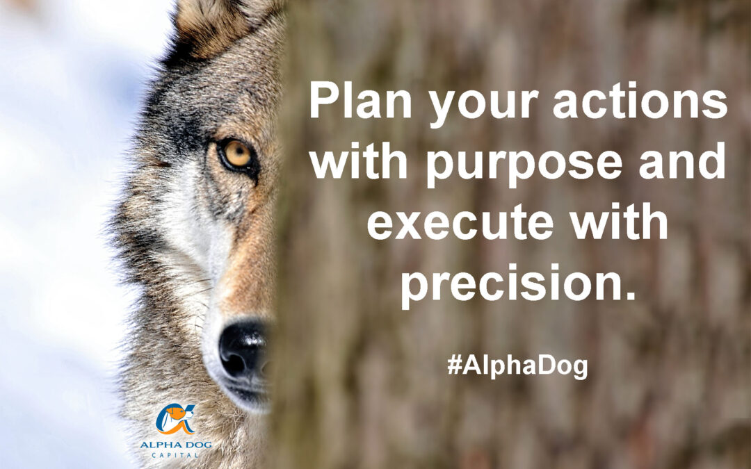 Alpha Dog Strategic Thinking & Planning