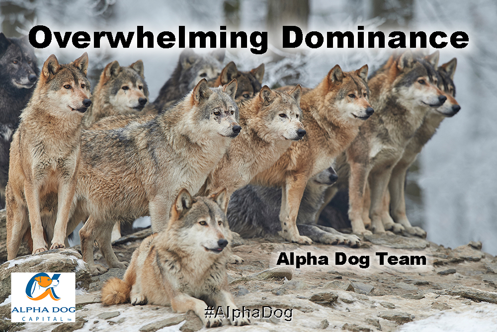Alpha Dog Capital. Overwhelming Dominance #alphadog
